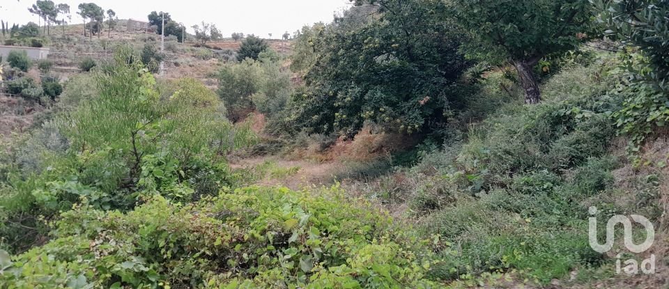 House T5 in Cortes do Meio of 444 m²