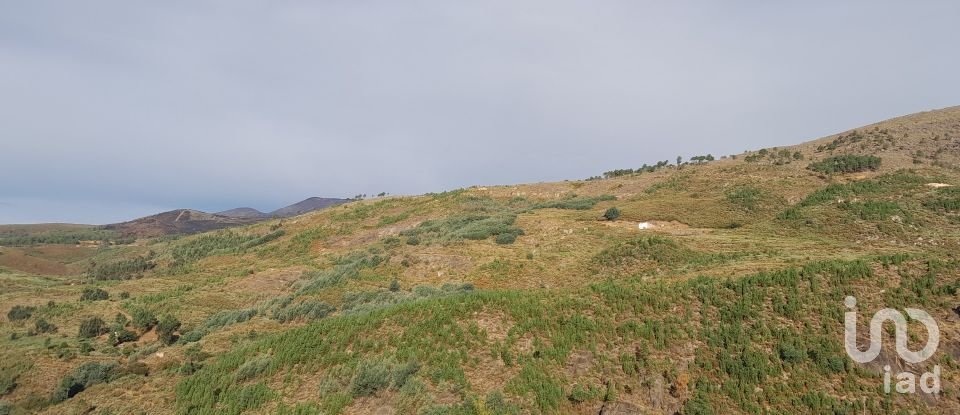 House T5 in Cortes do Meio of 444 m²