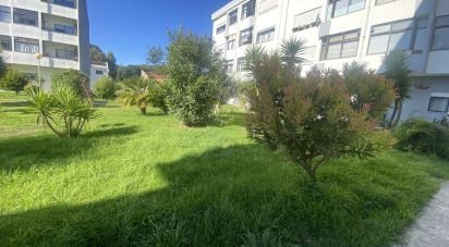 Appartement T2 à Darque de 105 m²