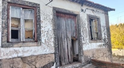 House T0 in Areias e Pias of 140 m²