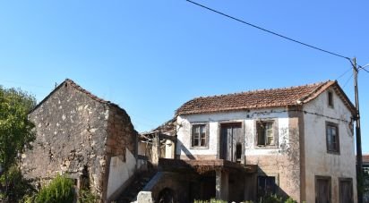 House T0 in Areias e Pias of 140 m²