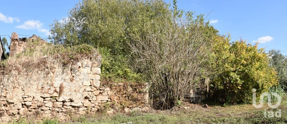 House T0 in Areias e Pias of 140 m²