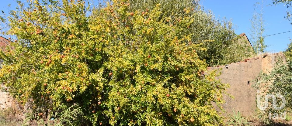 House T0 in Areias e Pias of 140 m²