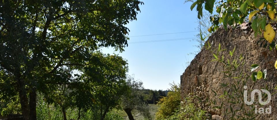 House T0 in Areias e Pias of 140 m²