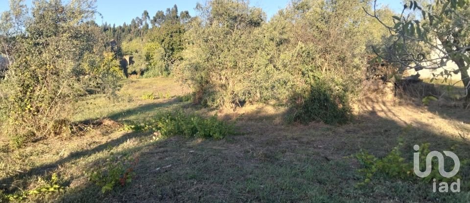 House T0 in Areias e Pias of 140 m²