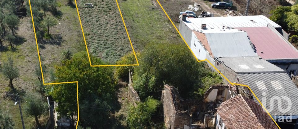 House T0 in Areias e Pias of 140 m²