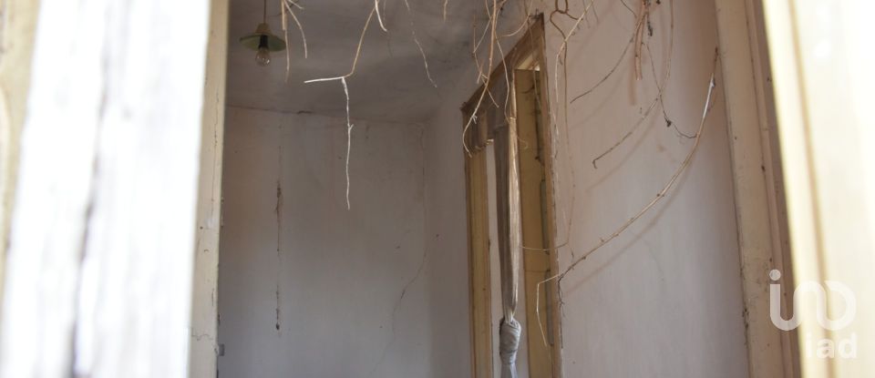 House T0 in Areias e Pias of 140 m²