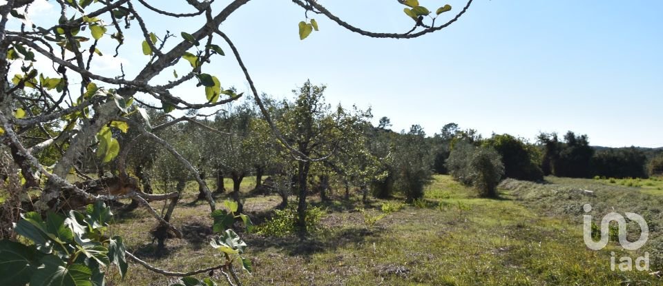 House T0 in Areias e Pias of 140 m²