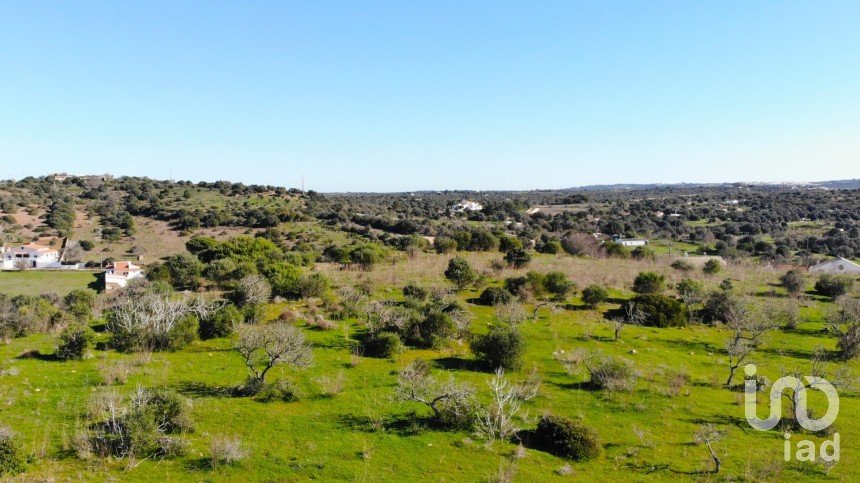 Leisure land in Barão de São Miguel of 6,000 m²