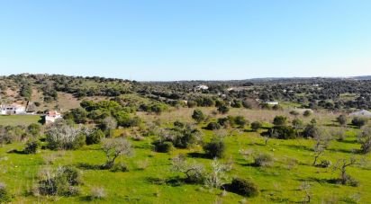 Terrain Loisirs à Barão de São Miguel de 6 000 m²