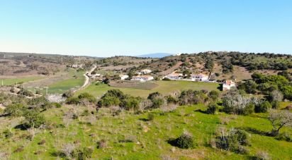 Terrain Loisirs à Barão de São Miguel de 6 000 m²