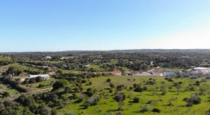 Terrain Loisirs à Barão de São Miguel de 6 000 m²