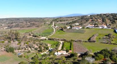 Terrain Loisirs à Barão de São Miguel de 6 000 m²