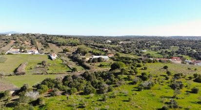 Terrain Loisirs à Barão de São Miguel de 6 000 m²