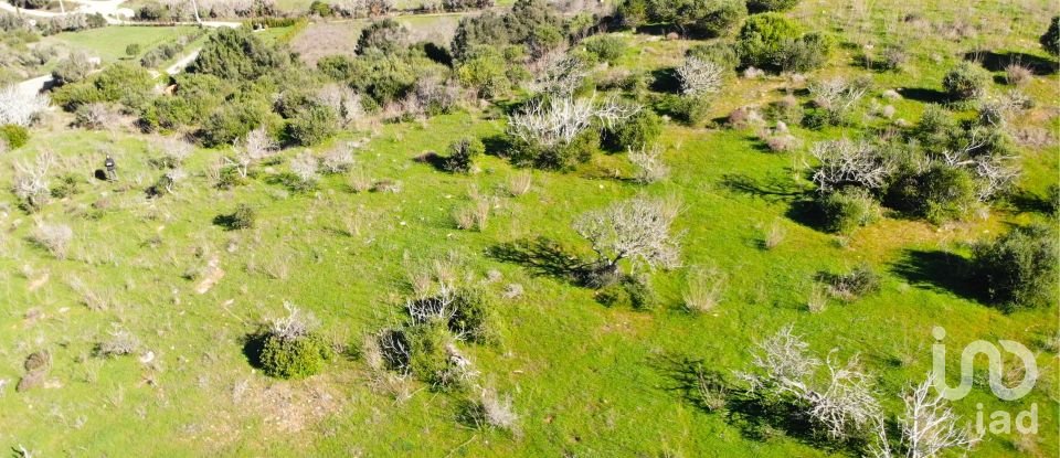 Leisure land in Barão de São Miguel of 6,000 m²