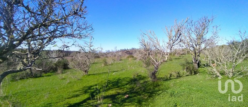 Leisure land in Barão de São Miguel of 6,000 m²