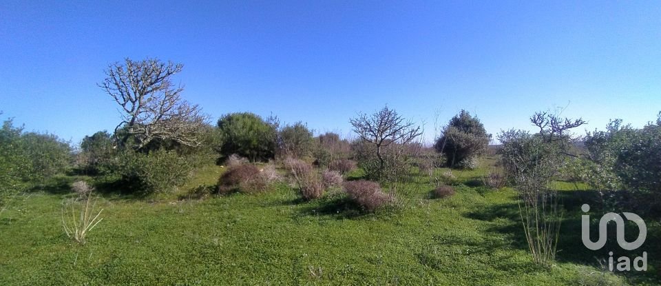 Leisure land in Barão de São Miguel of 6,000 m²