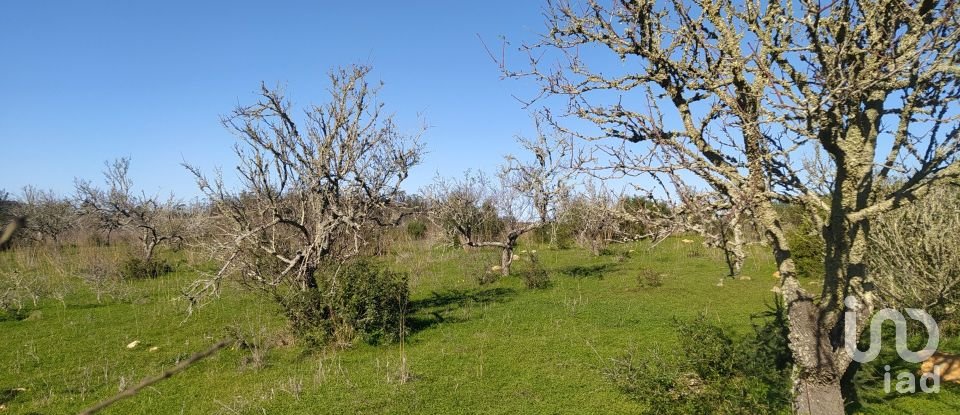 Leisure land in Barão de São Miguel of 6,000 m²