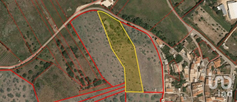 Leisure land in Barão de São Miguel of 6,000 m²