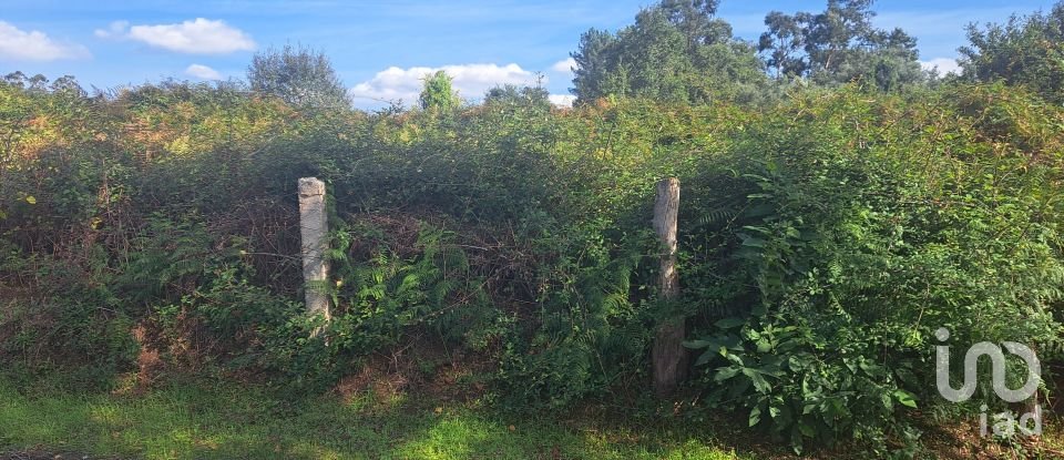Terreno em Freiriz de 541 m²