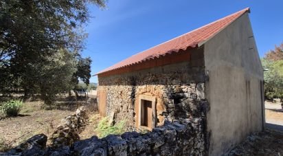 Maison T2 à Minde de 58 m²