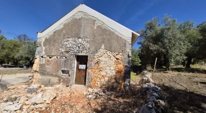 Maison T2 à Minde de 58 m²