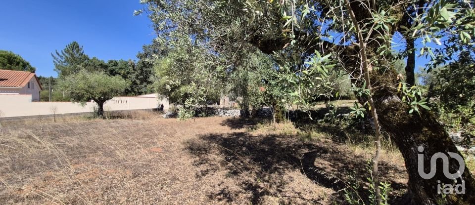 House T2 in Minde of 58 m²