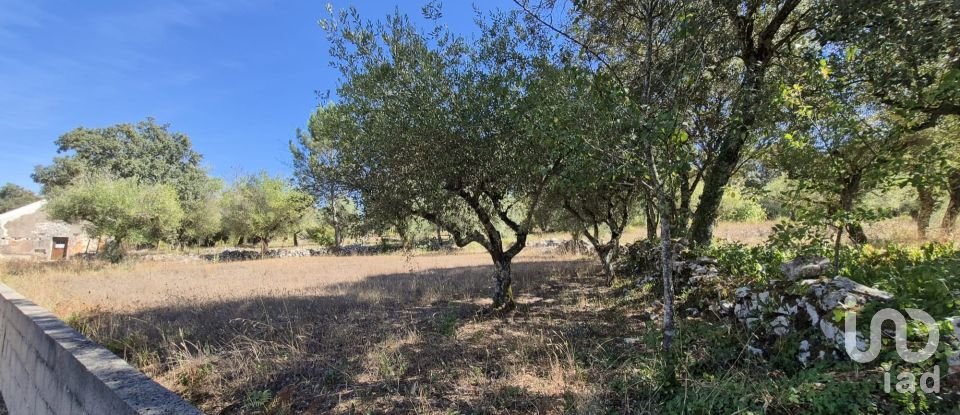 House T2 in Minde of 58 m²