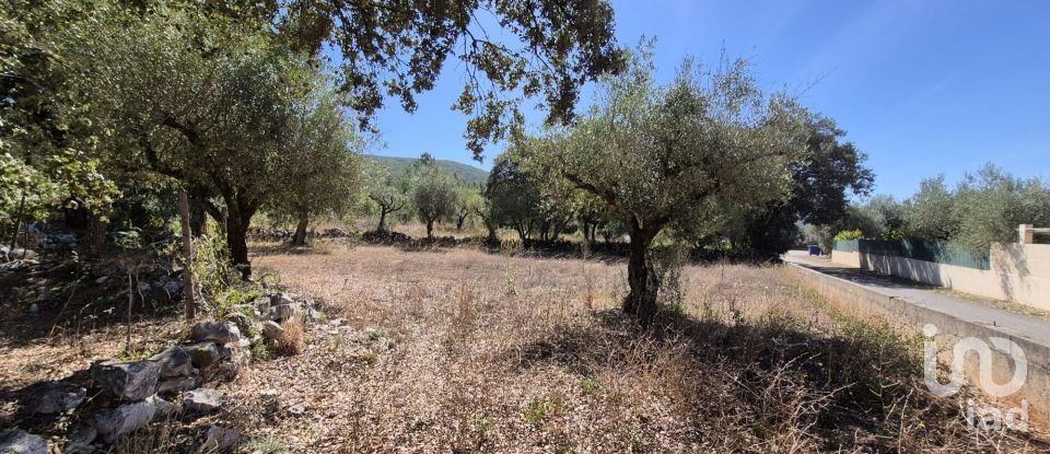 House T2 in Minde of 58 m²