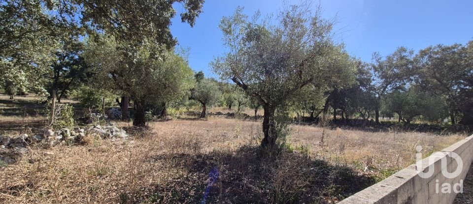 House T2 in Minde of 58 m²