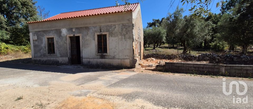 House T2 in Minde of 58 m²