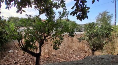 Terrain à Luz de 111 m²