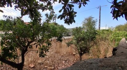 Terrain à Luz de 111 m²