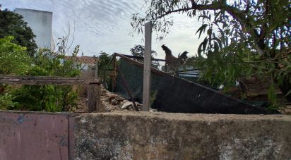 Terrain à Luz de 111 m²