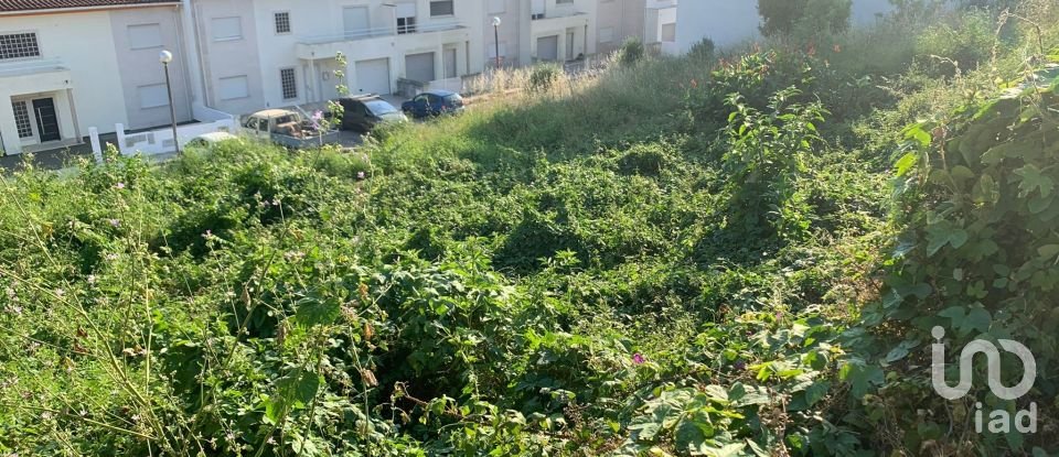 Terrain à Luso de 1 252 m²