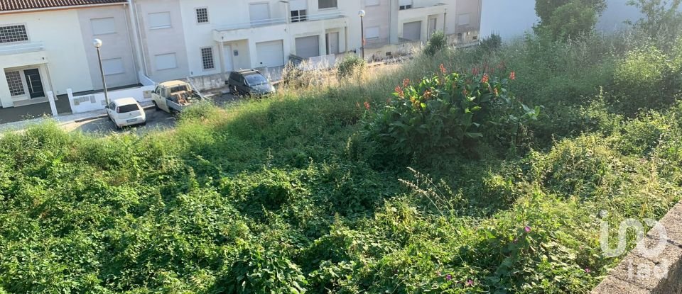 Terrain à Luso de 1 252 m²