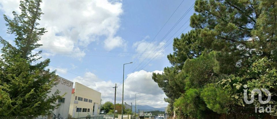 Boutique/Local commercial à Constantim e Vale de Nogueiras de 2 700 m²