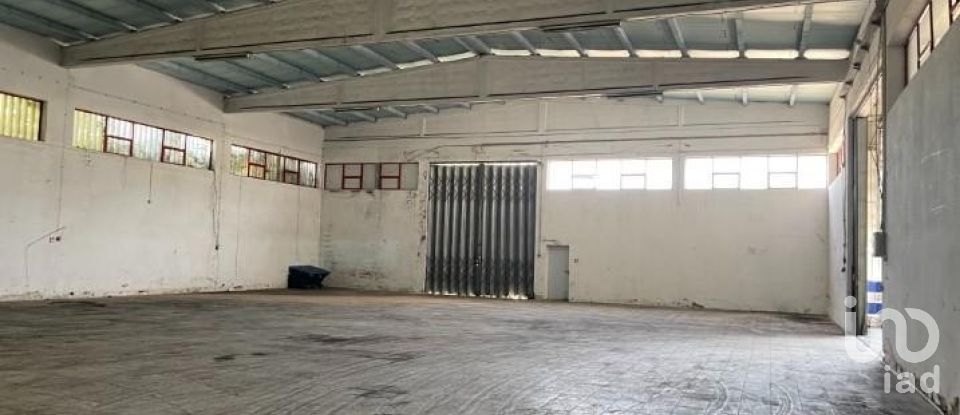 Boutique/Local commercial à Constantim e Vale de Nogueiras de 2 700 m²