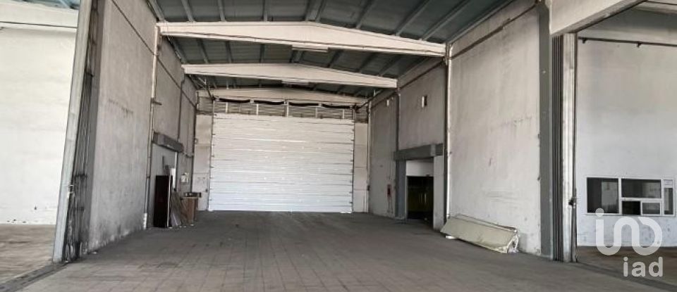 Boutique/Local commercial à Constantim e Vale de Nogueiras de 2 700 m²