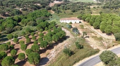 Terrain à Alpiarça de 462 520 m²