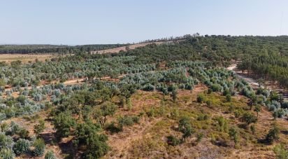 Terrain à Alpiarça de 462 520 m²