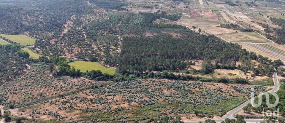 Terrain à Alpiarça de 462 520 m²