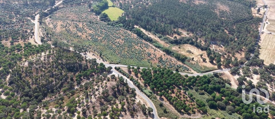 Terrain à Alpiarça de 462 520 m²