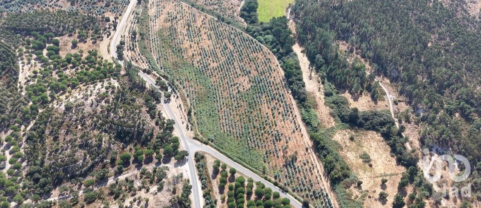 Terrain à Alpiarça de 462 520 m²