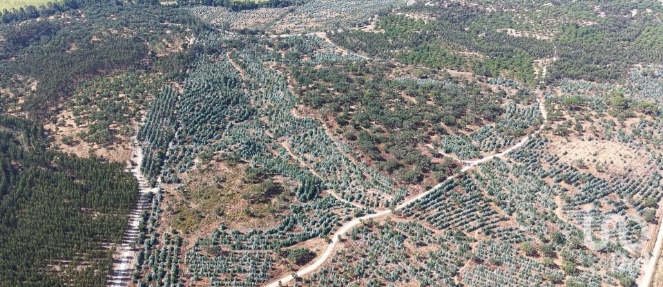 Terrain à Alpiarça de 462 520 m²