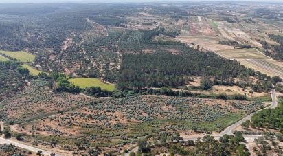 Terrain à Alpiarça de 462 520 m²