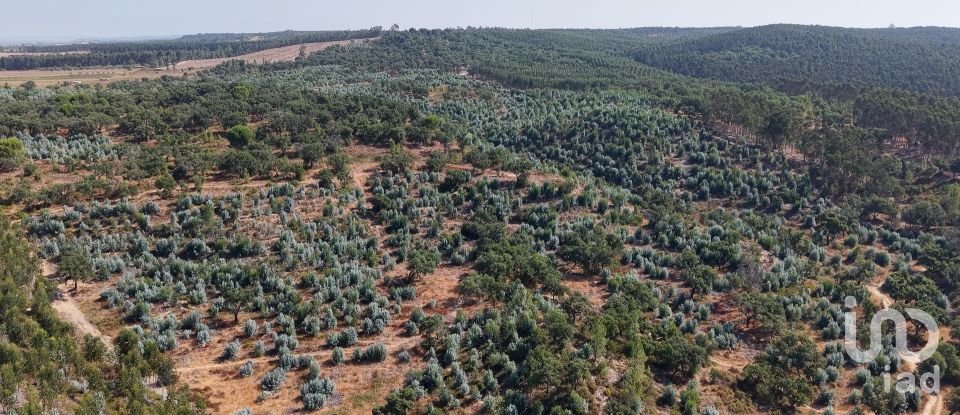 Terrain à Alpiarça de 462 520 m²