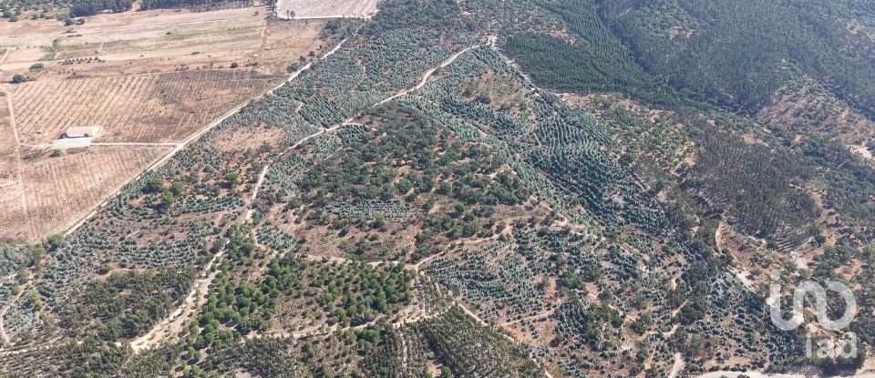 Terrain à Alpiarça de 462 520 m²