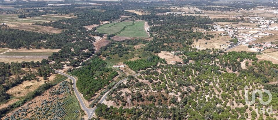 Terrain à Alpiarça de 462 520 m²