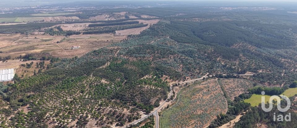 Terrain à Alpiarça de 462 520 m²